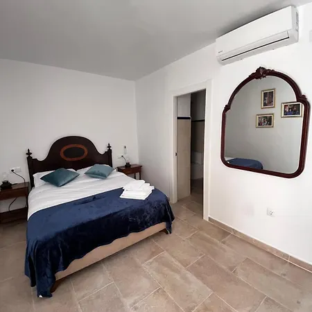 Shanti's Andalusian * Malaga