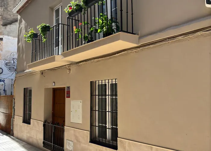 Shanti's Andalusian Málaga
