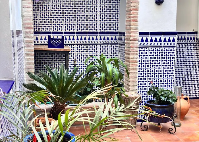 Shanti's Andalusian 3* Málaga